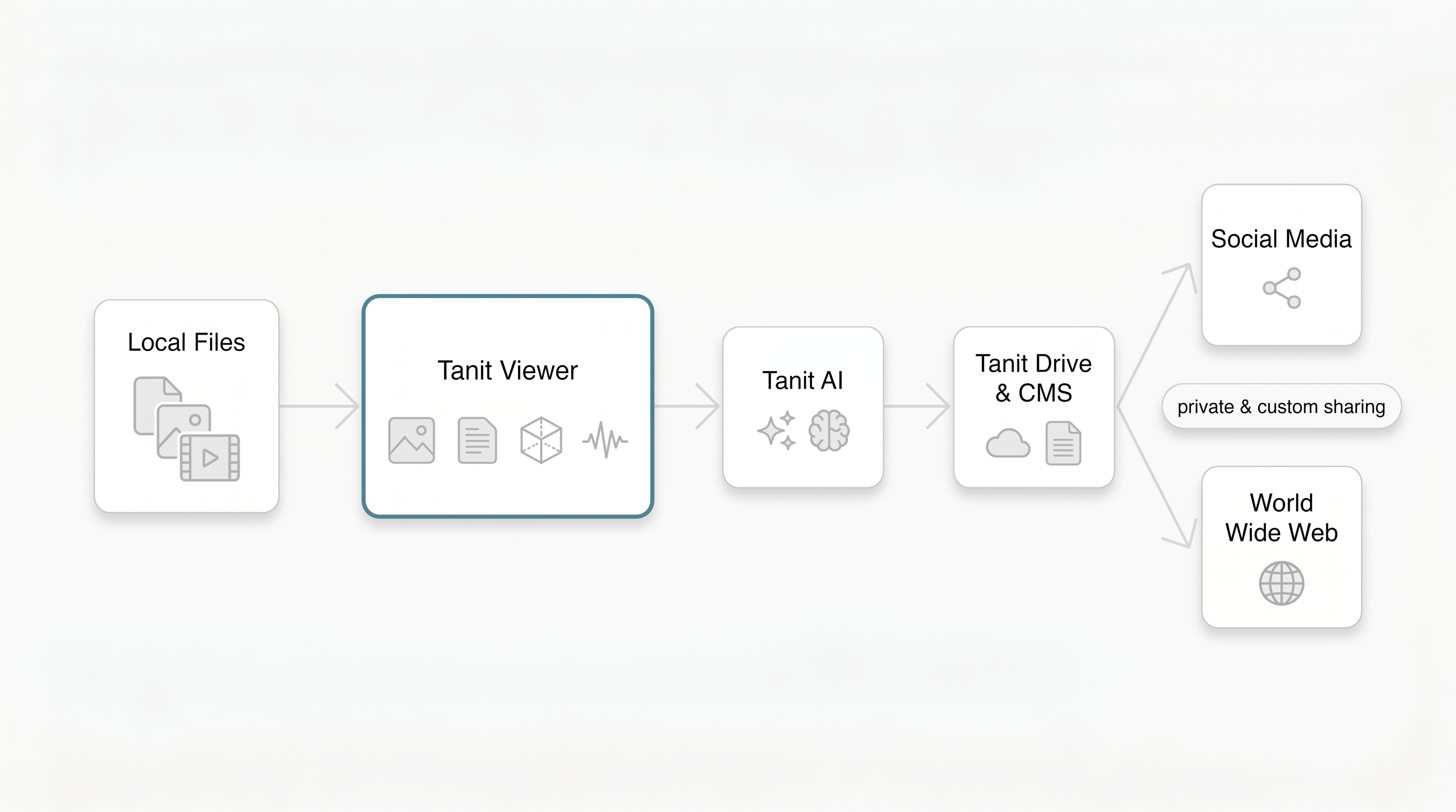 tanit-viewer-overview